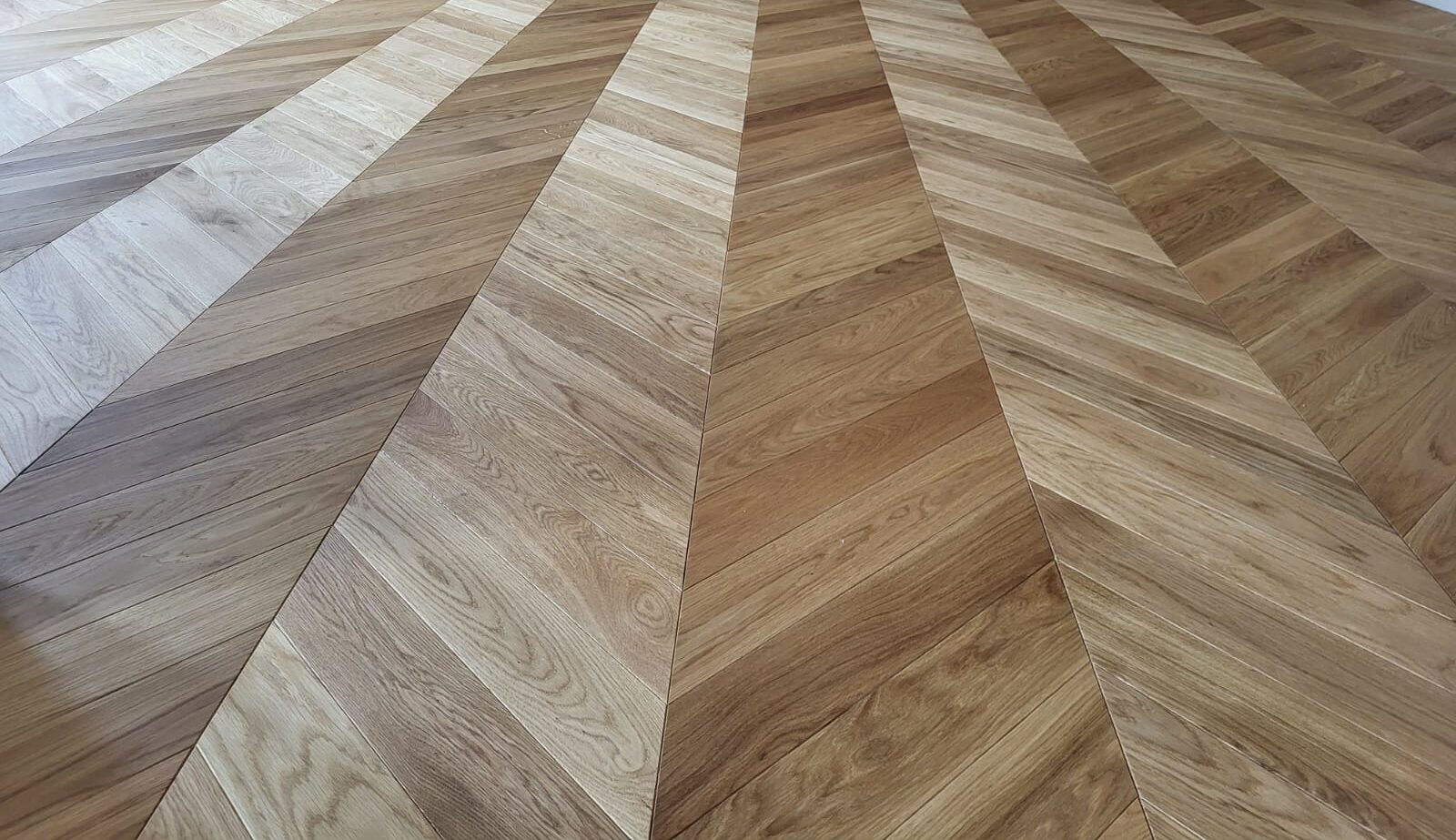 WhatsApp Image 2026 01 08 At 19.07.03 E1767892316383